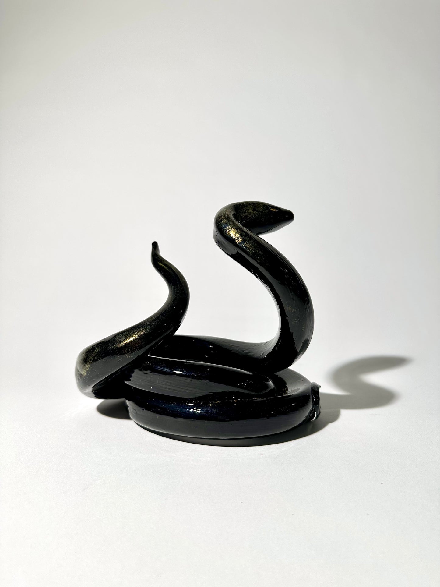 Black Snake with Gold Powder