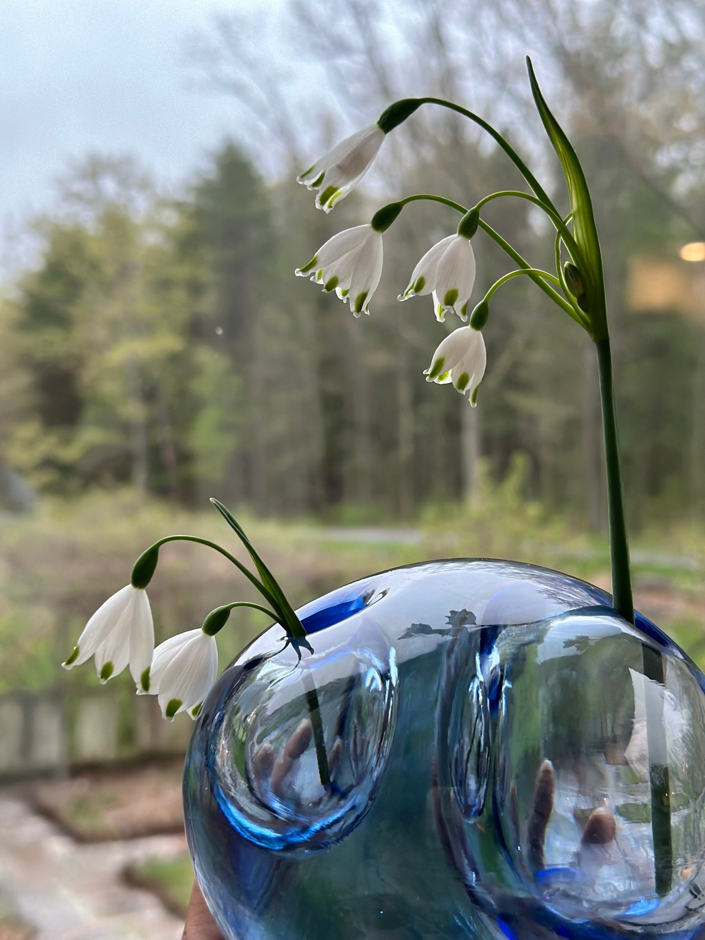 Large & Small Double Bubble Sapphire Blue Sprouting Vase