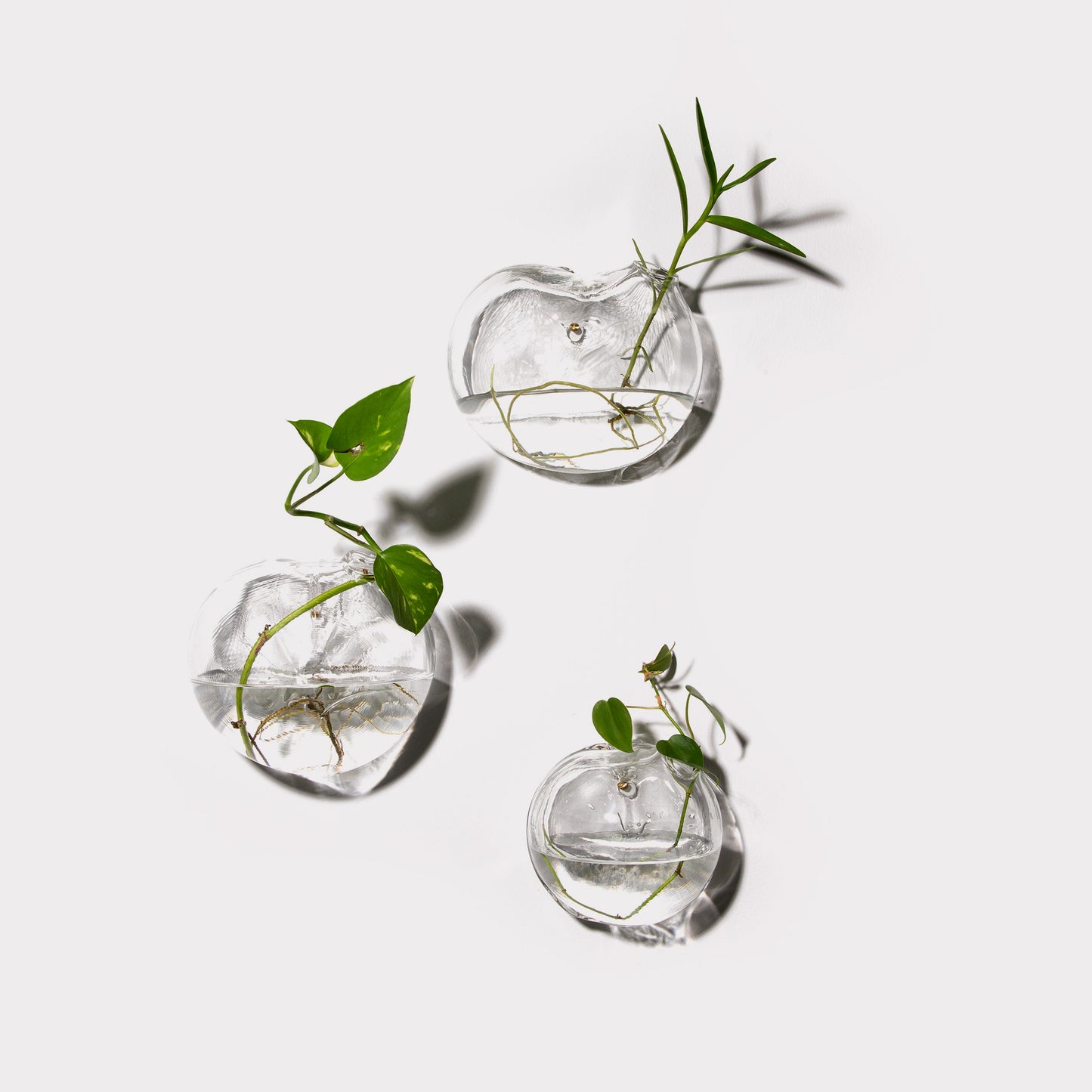 Formation Set of 3 (medium, wall mounted)