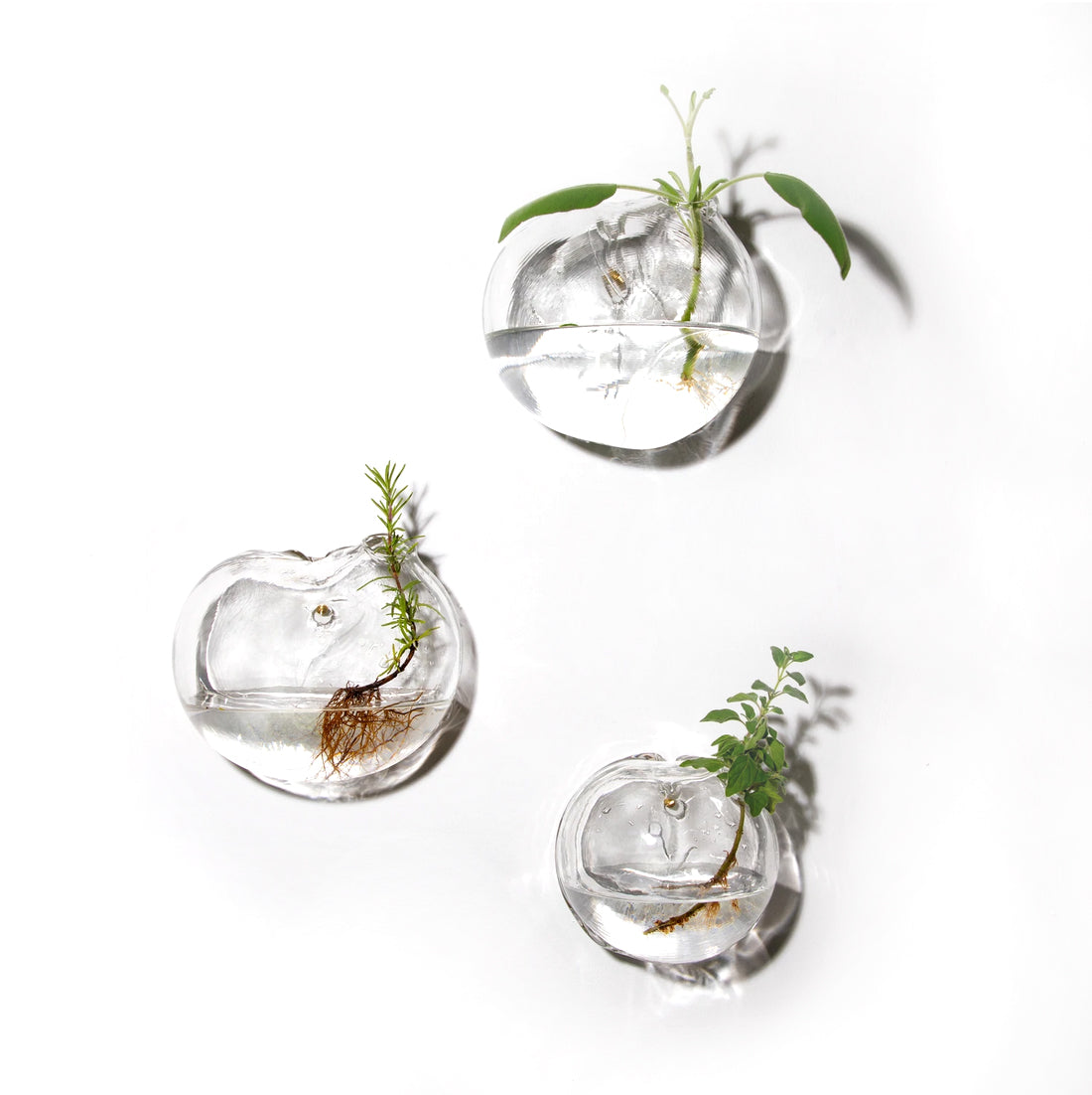 Formation Set of 3 (medium, wall mounted)