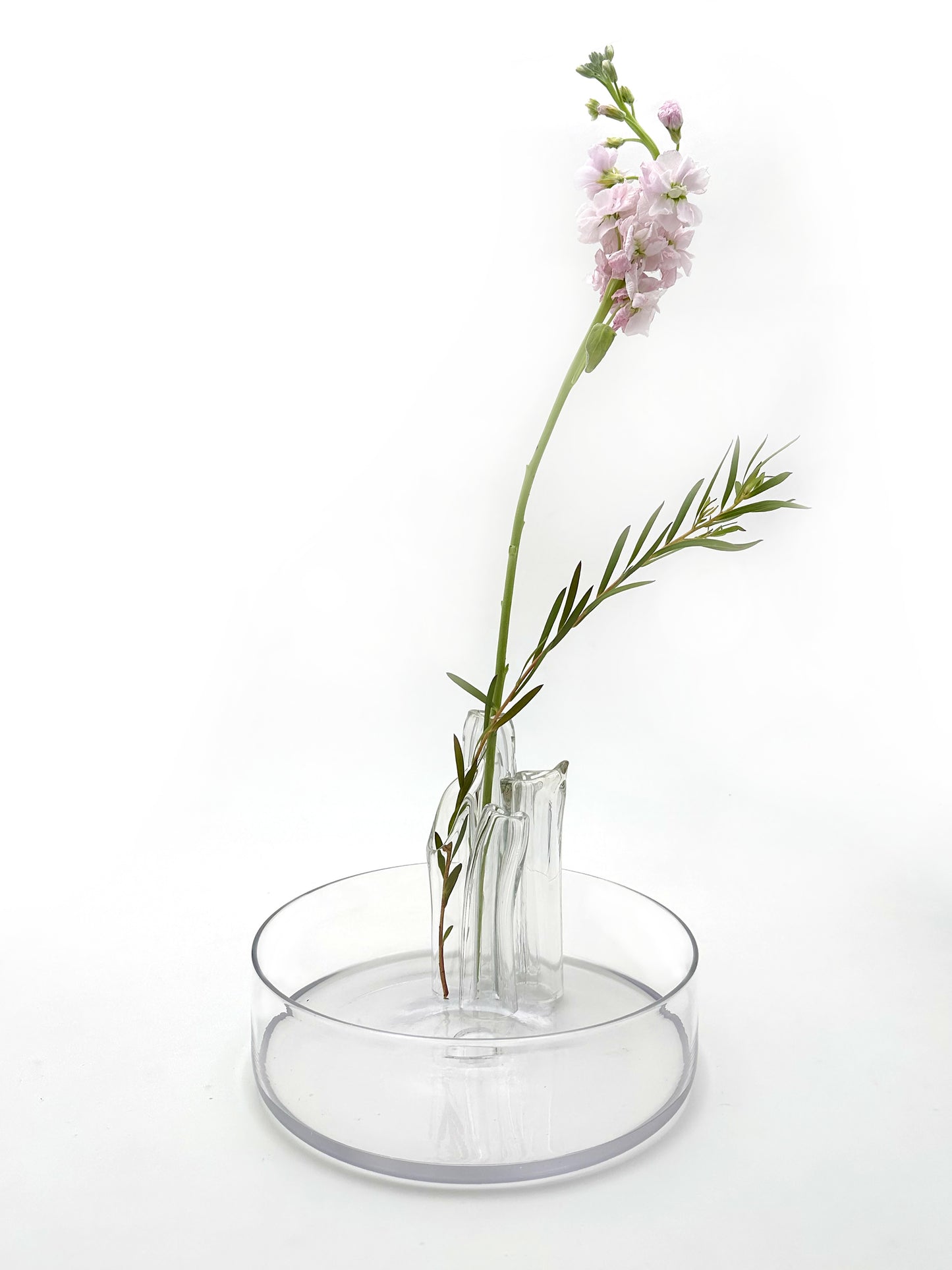 Ghost Pipe flower vase