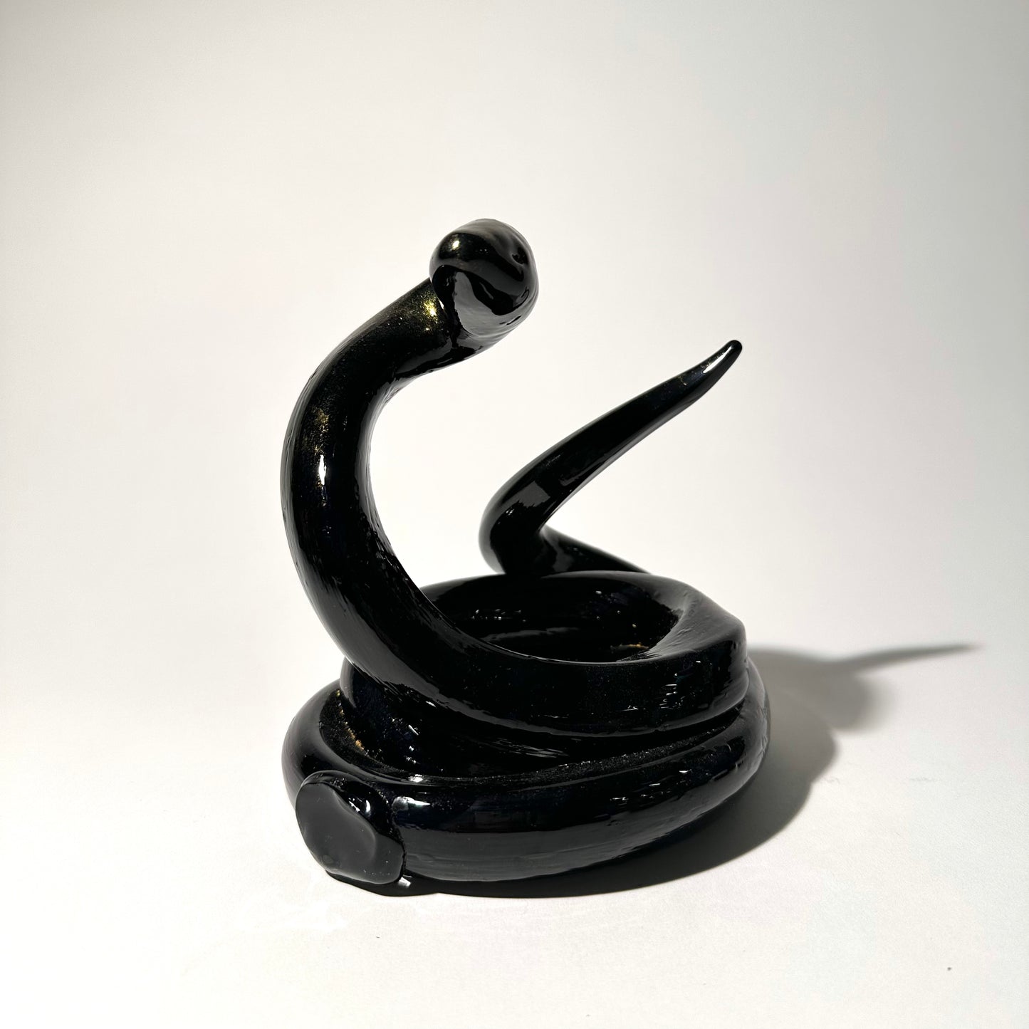 Black Snake with Gold Powder