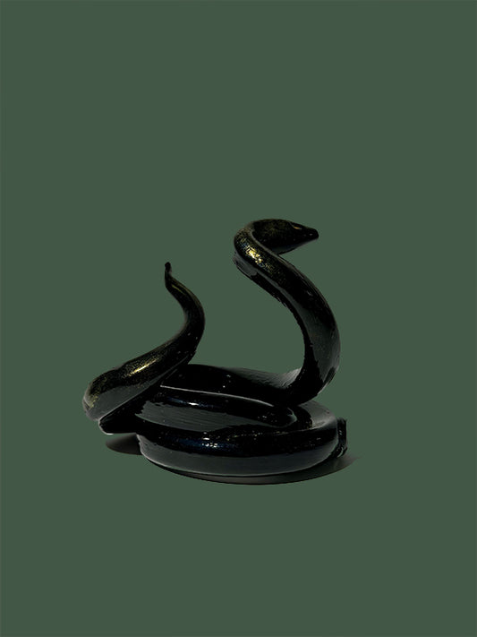 Black Snake with Gold Powder
