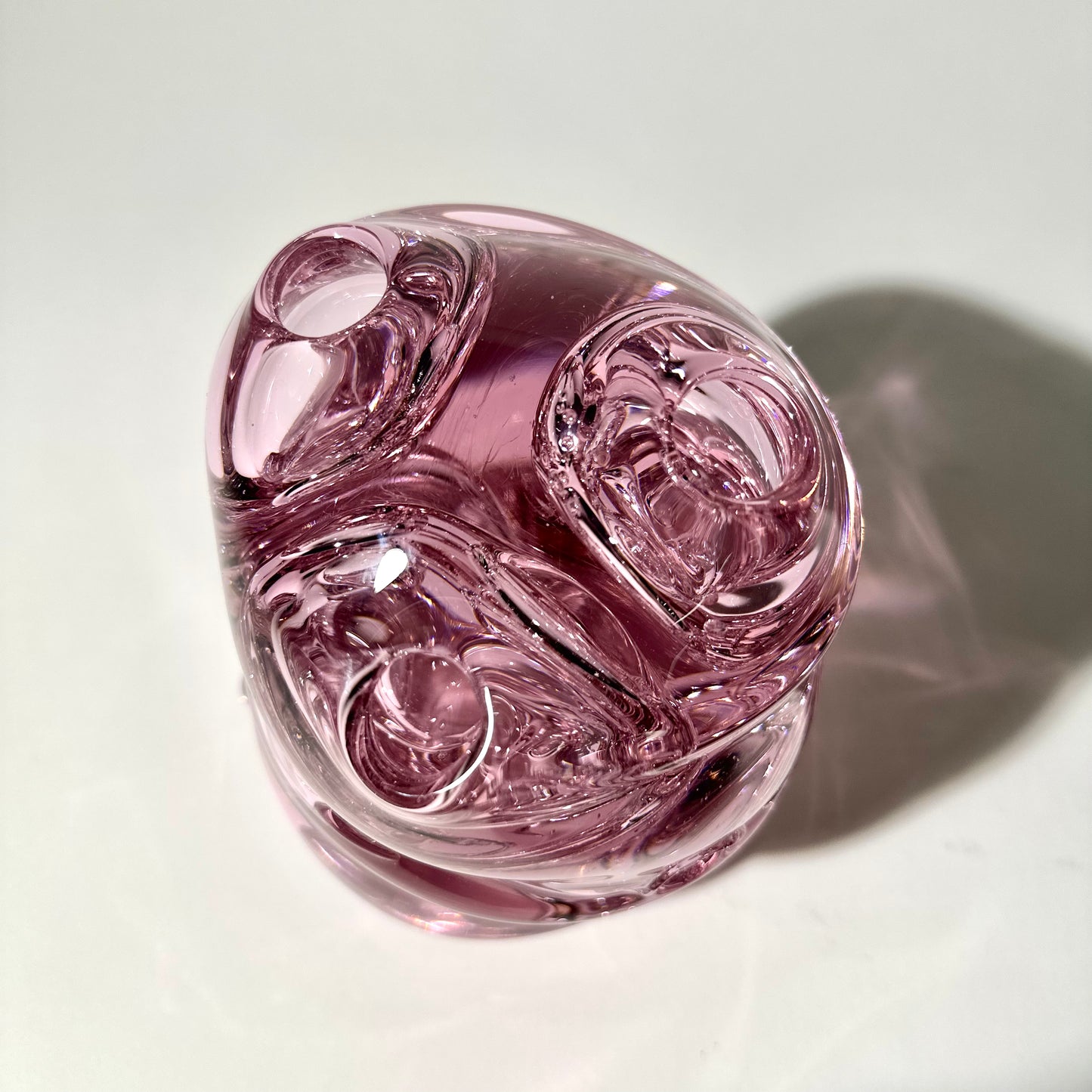 Pink Sprouting Vase Colony