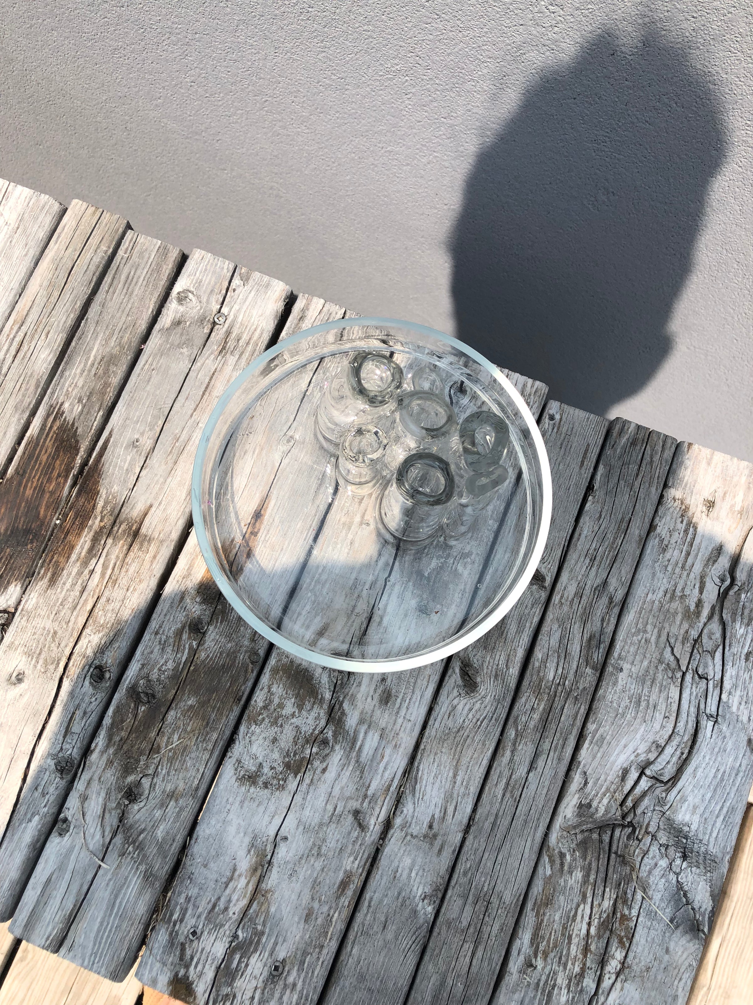 Ghost Pipe, clear glass bud vase with a single stem, view 8