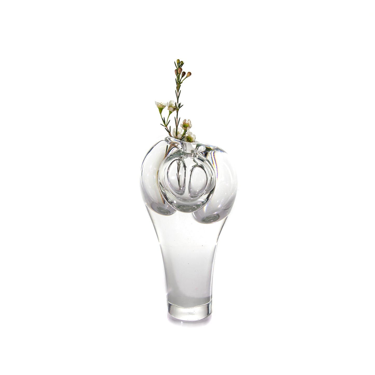 Sprouting Vase (Special Edition 2)