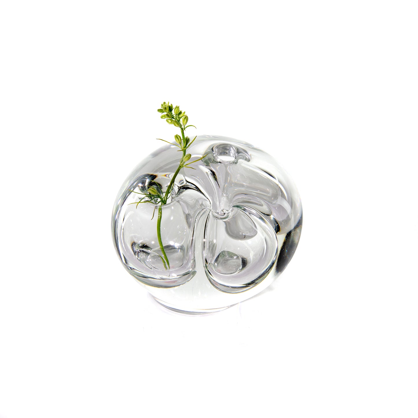 Sprouting Vase